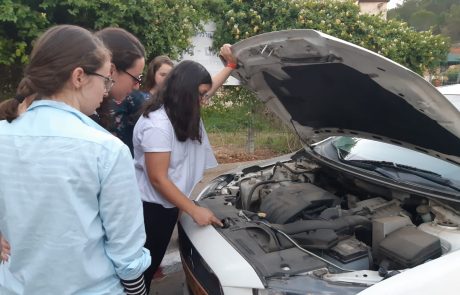 מדריך חדש להורדה